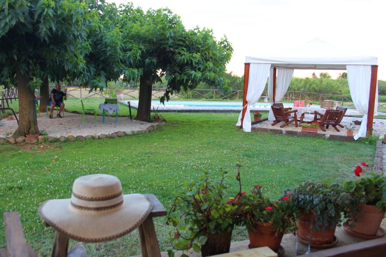 A Casa Di Amici Bed & Breakfast Tuscania Exterior photo